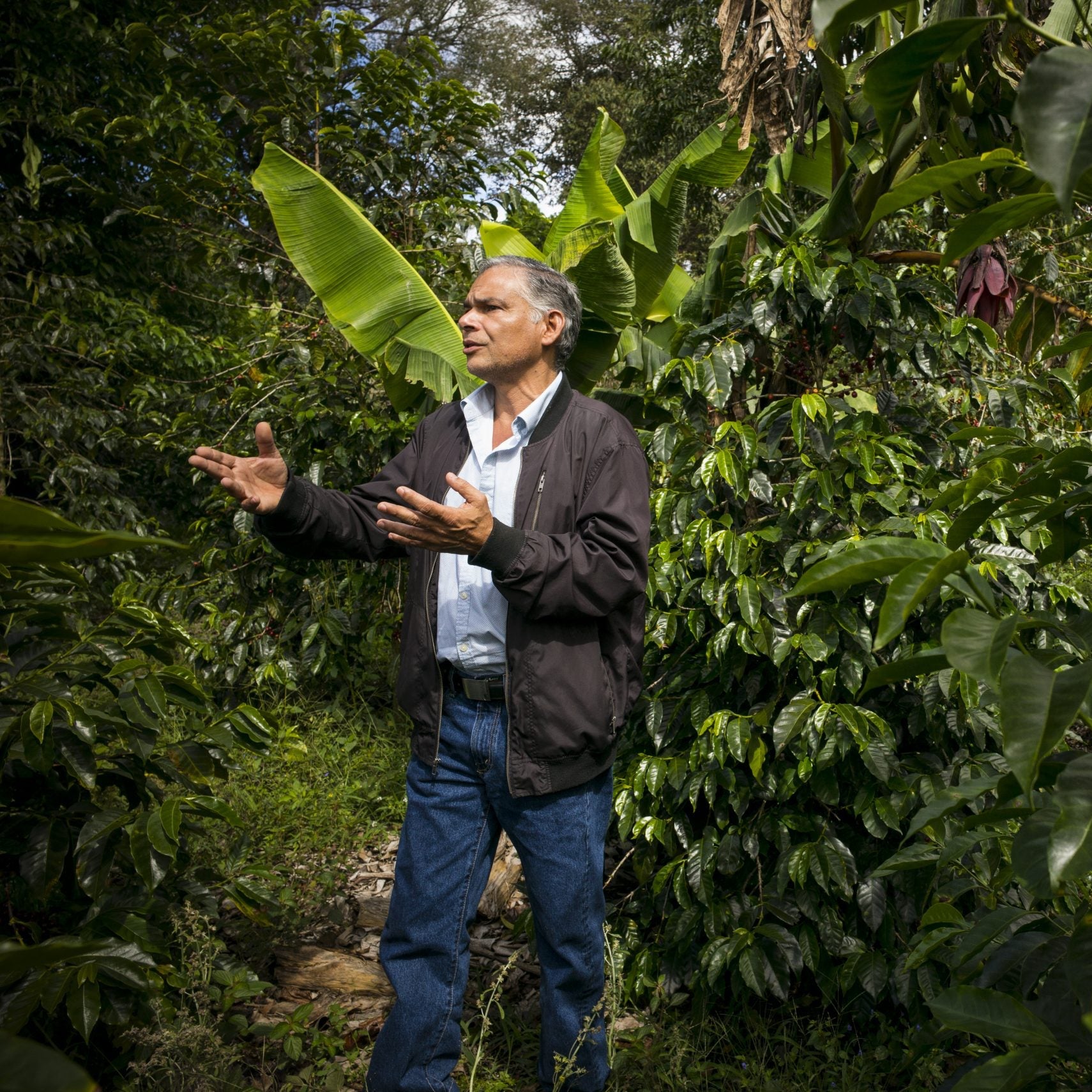 Cuatro Caminos Coffee Estates – La India Catuai Rojo Natural