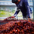 Chevas Geisha Washed –  Elevation Mosto