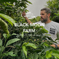 Black Moon Chiroso Alto Quiel 4FEB