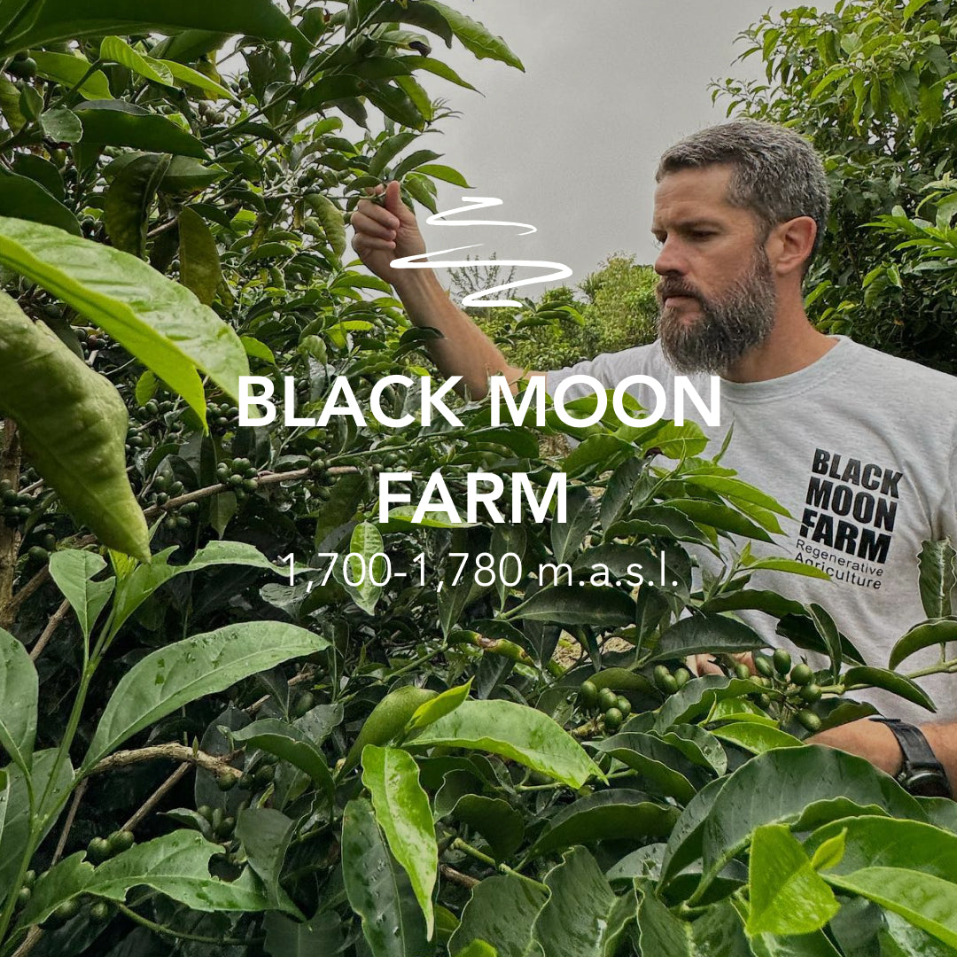 Black Moon Chiroso Alto Quiel 4FEB
