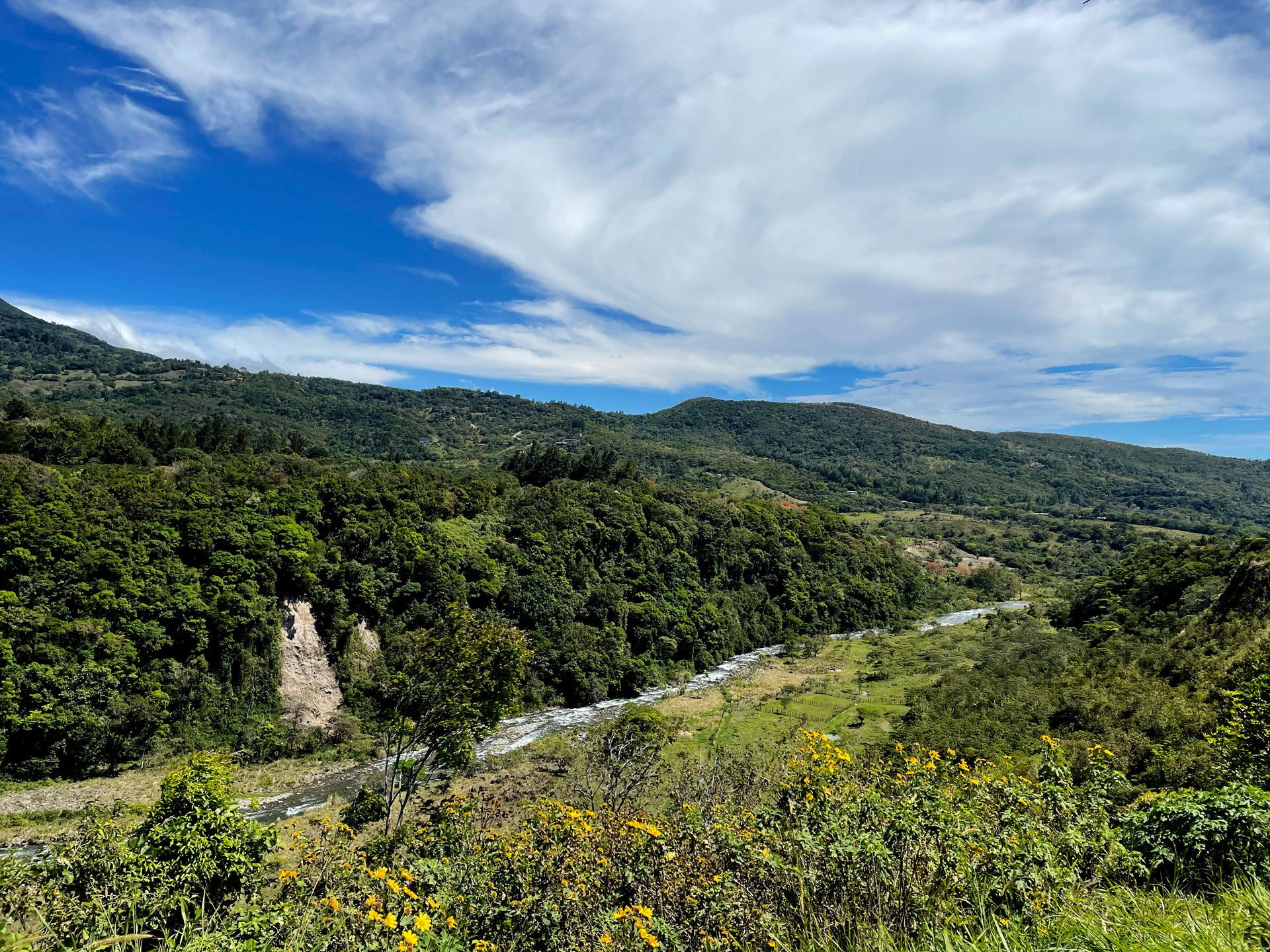 Scenic view of a mountainous landscape with greenery and a clear blue sky.