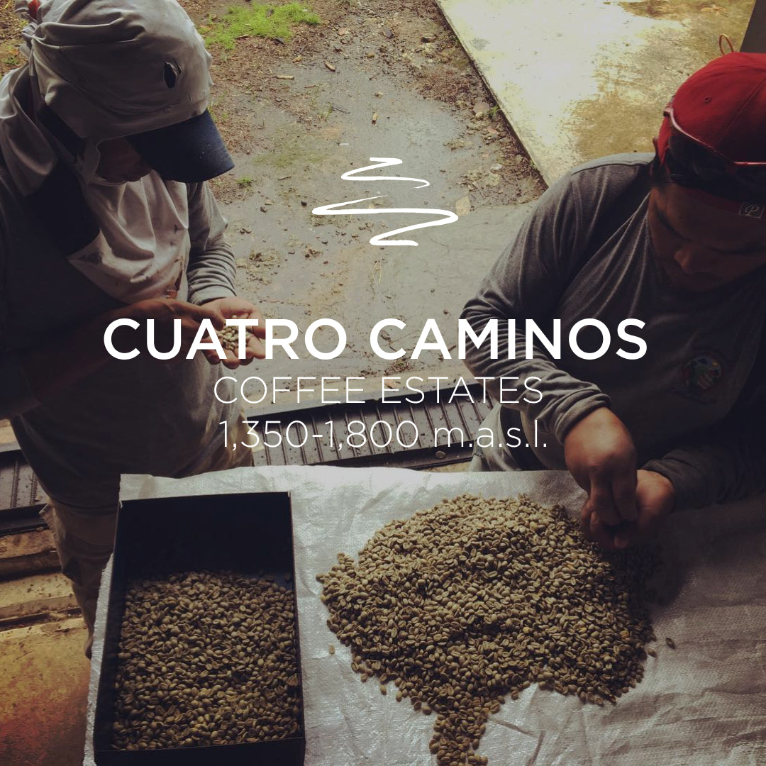 Cuatro Caminos Coffee Estates – La India Catuai Rojo Natural