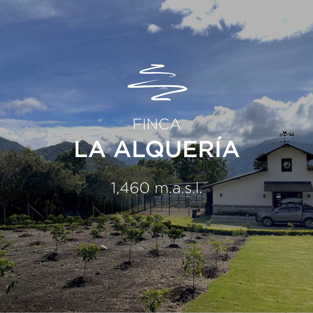 ABBRACCIO by Altieri – Alquería Pacamara Natural Lot 3