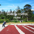 Janson Geisha Natural – Hacienda 215