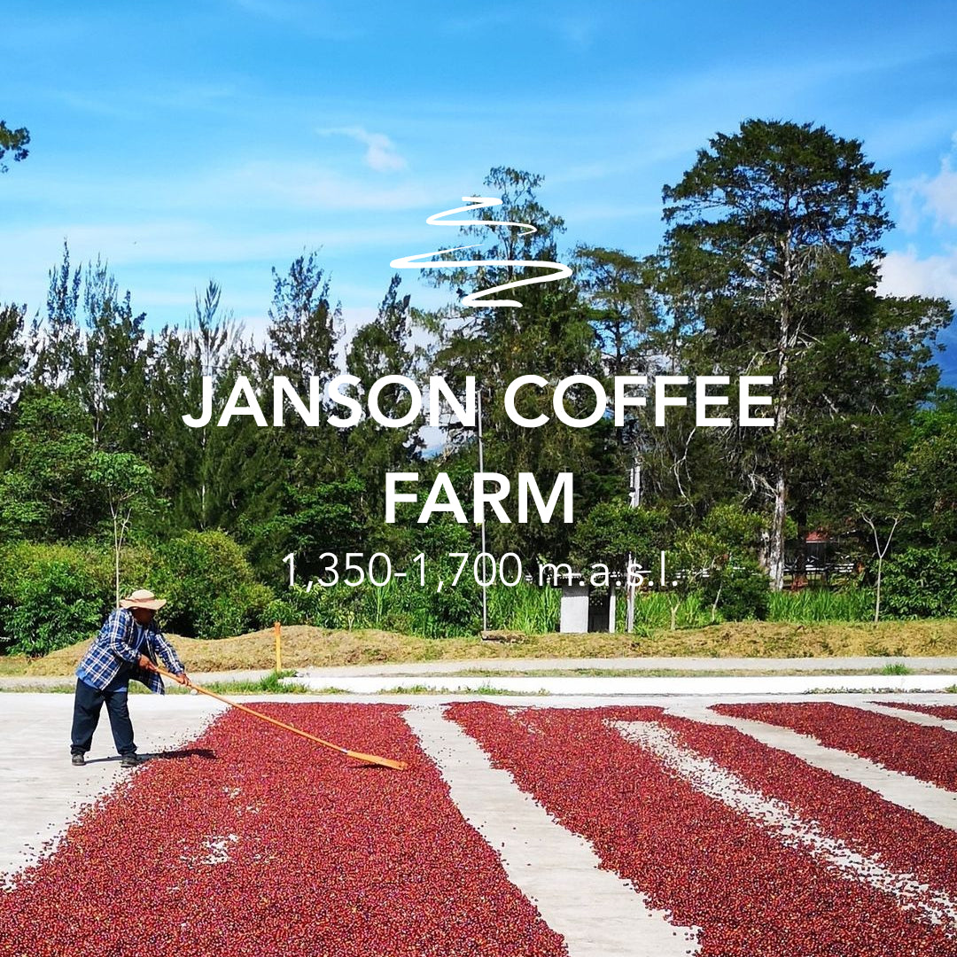 Janson Geisha Natural – Hacienda 215