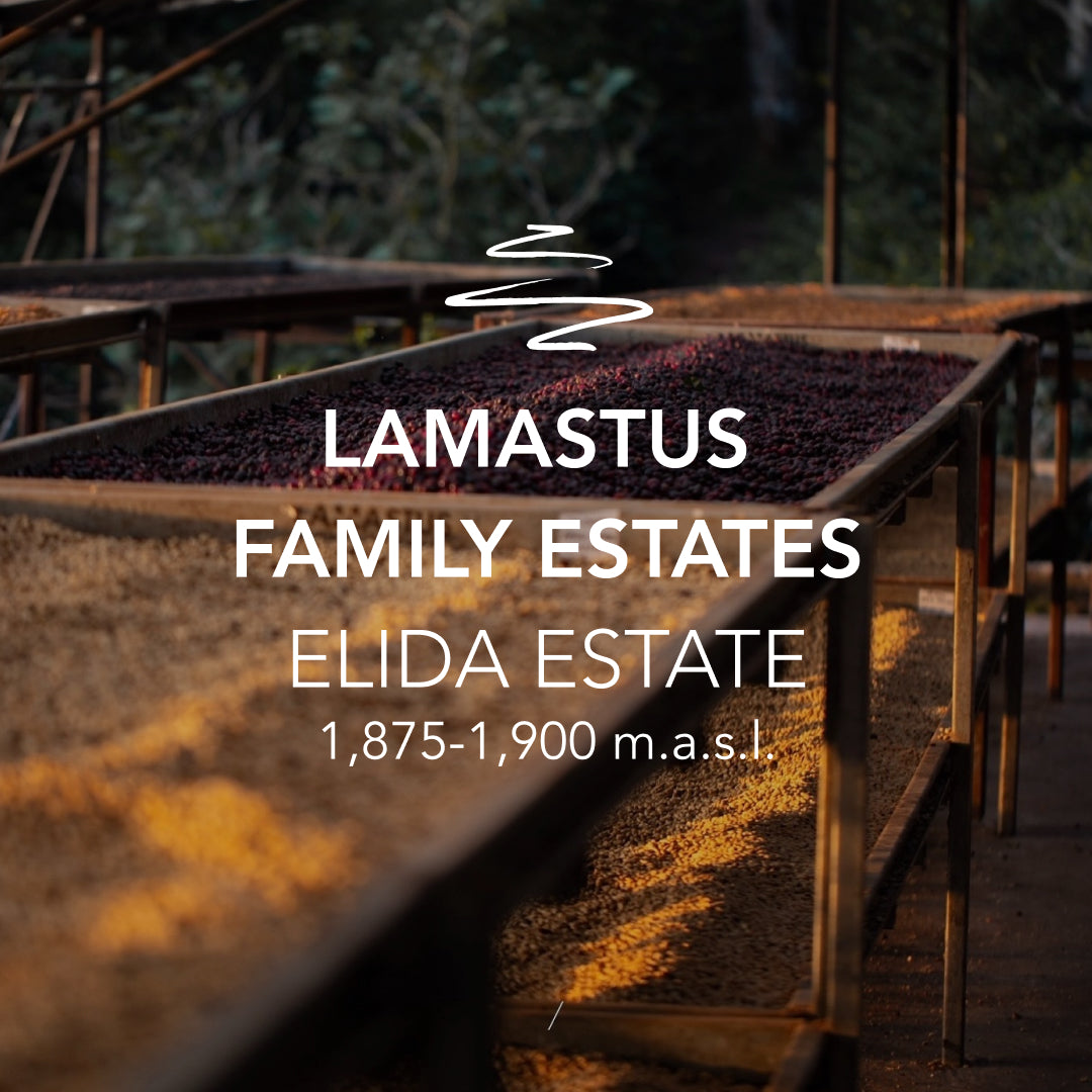 Lamastus Elida Geisha Washed DRD VUELTA 070326