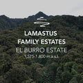 Lamastus El Burro Estate Geisha Natural LOT #15 020126